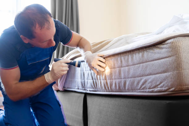 Best Fumigation Services  in Greenville, AL